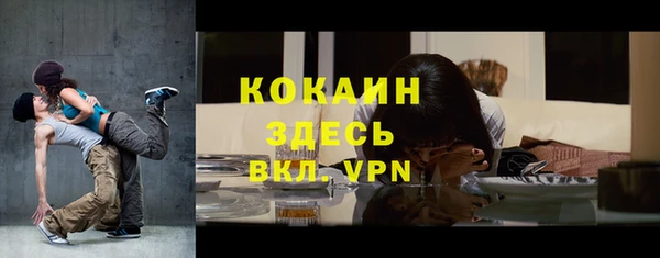 прущие грибы Орехово-Зуево