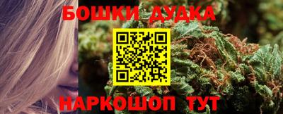 СК Славгород