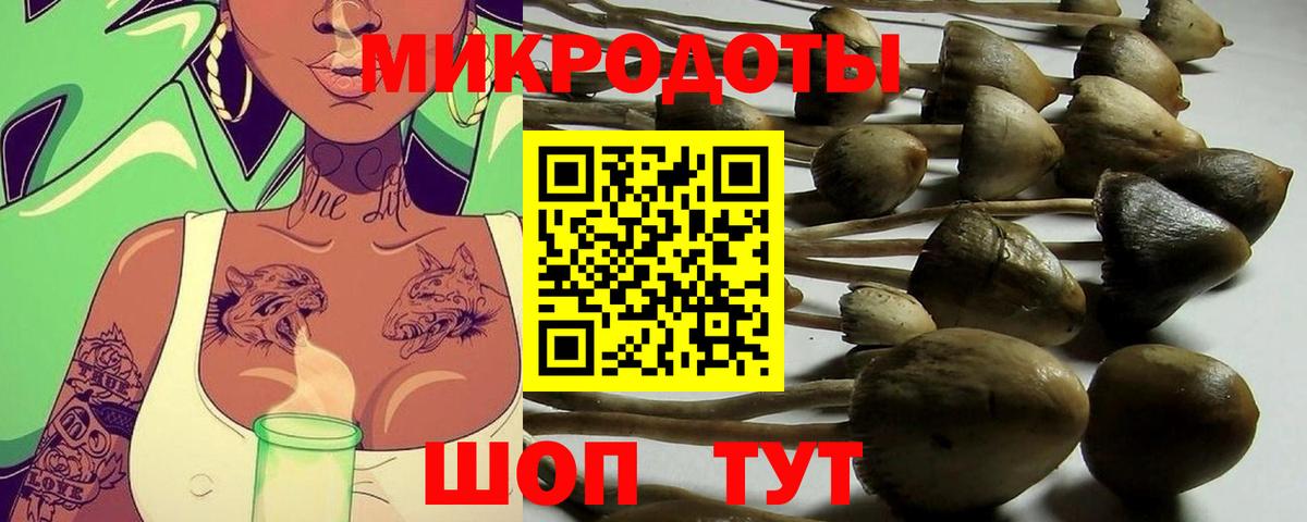 Псилоцибиновые грибы мухоморы Череповец