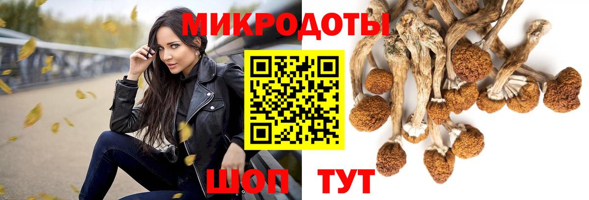 Череповец  Галлюциногенные грибы Magic Shrooms  Вход с VPN  Галлюциногенные грибы Psilocybe 