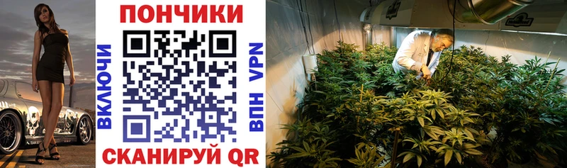 Канабис MAZAR  где продают наркотики  Череповец 